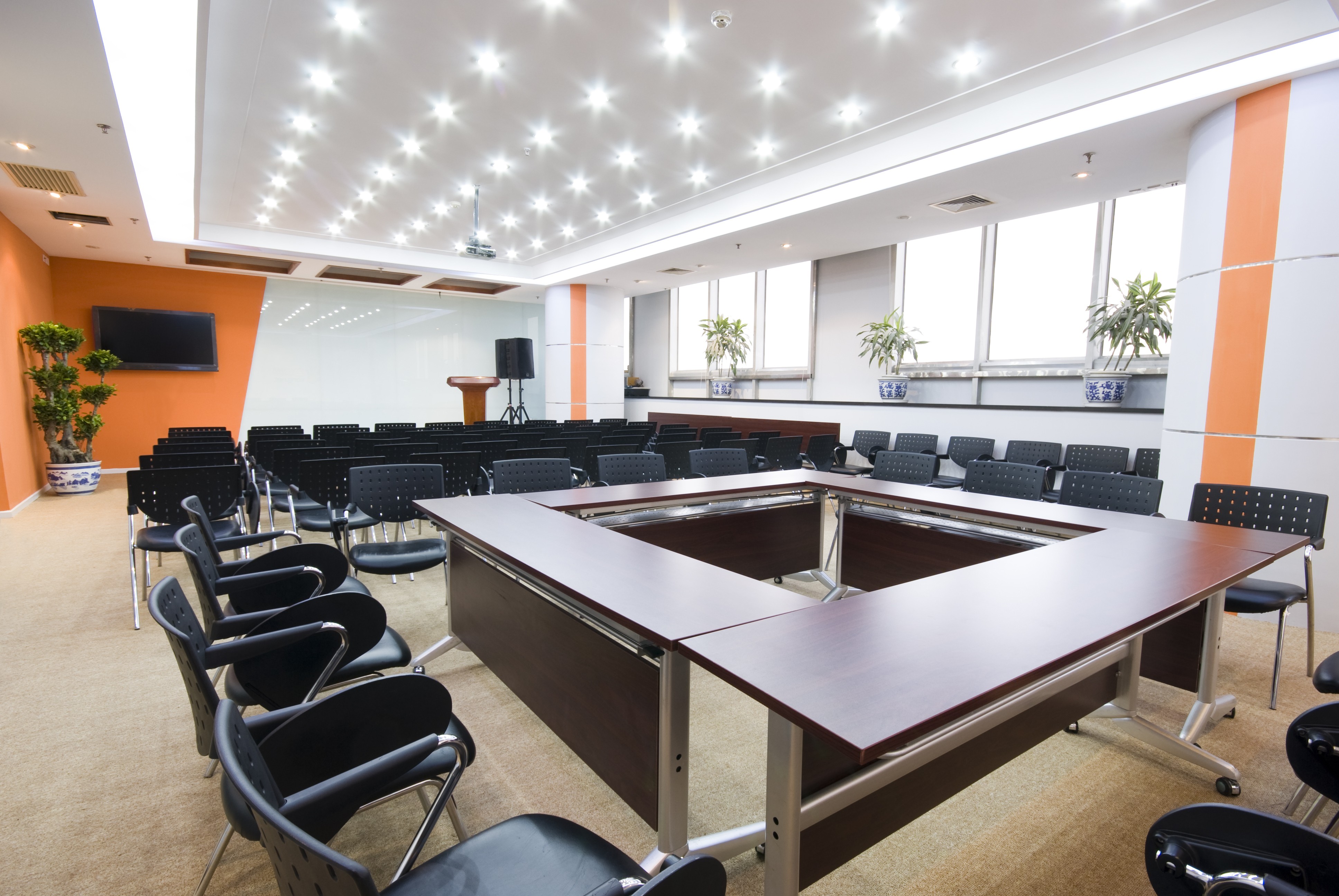 ALTSA Theatre Lights