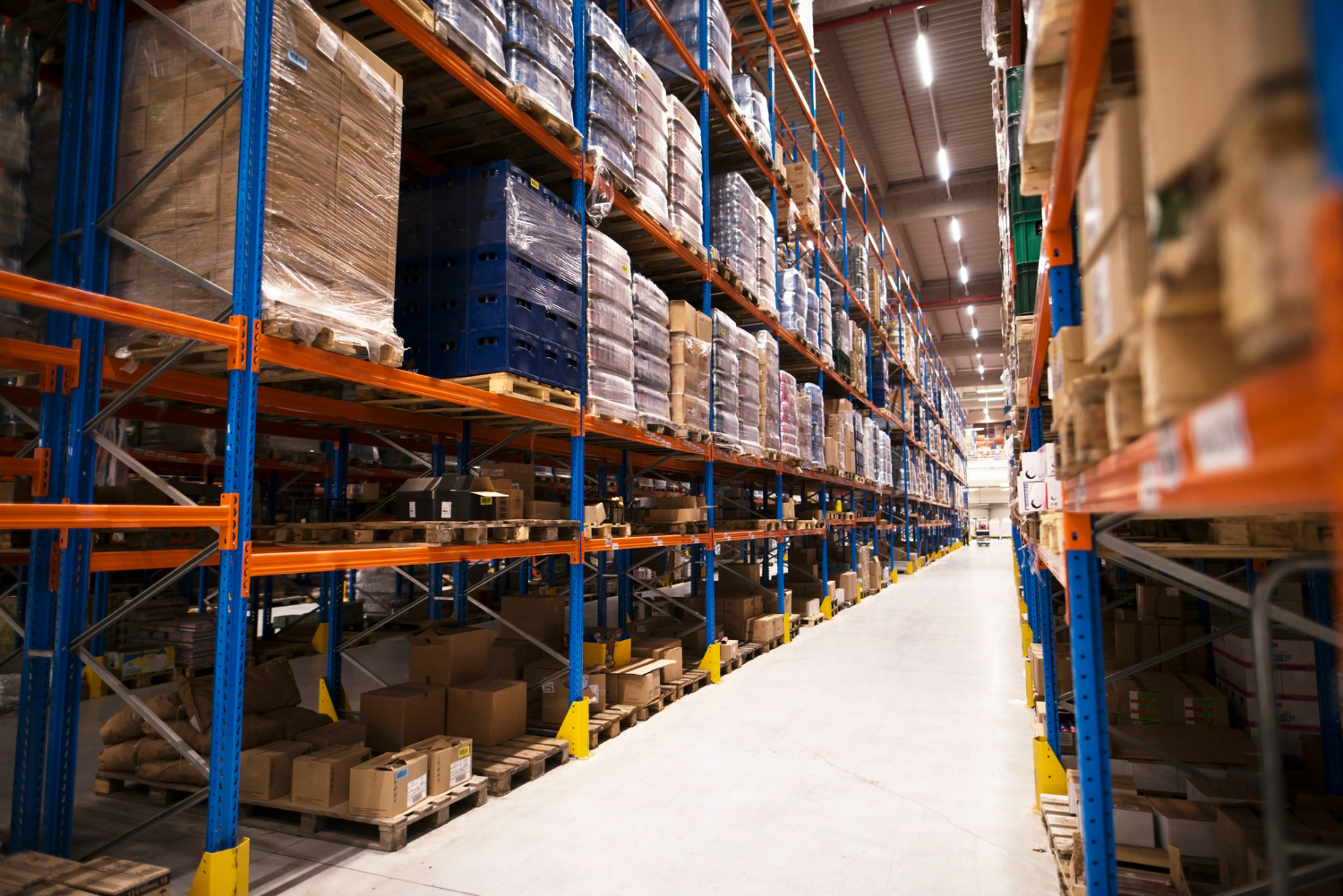 wholesale market image