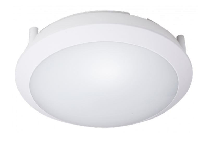 Image for this product could not be found